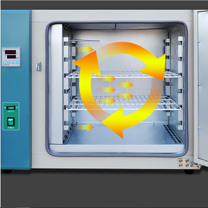 101 oab6 101 oab6